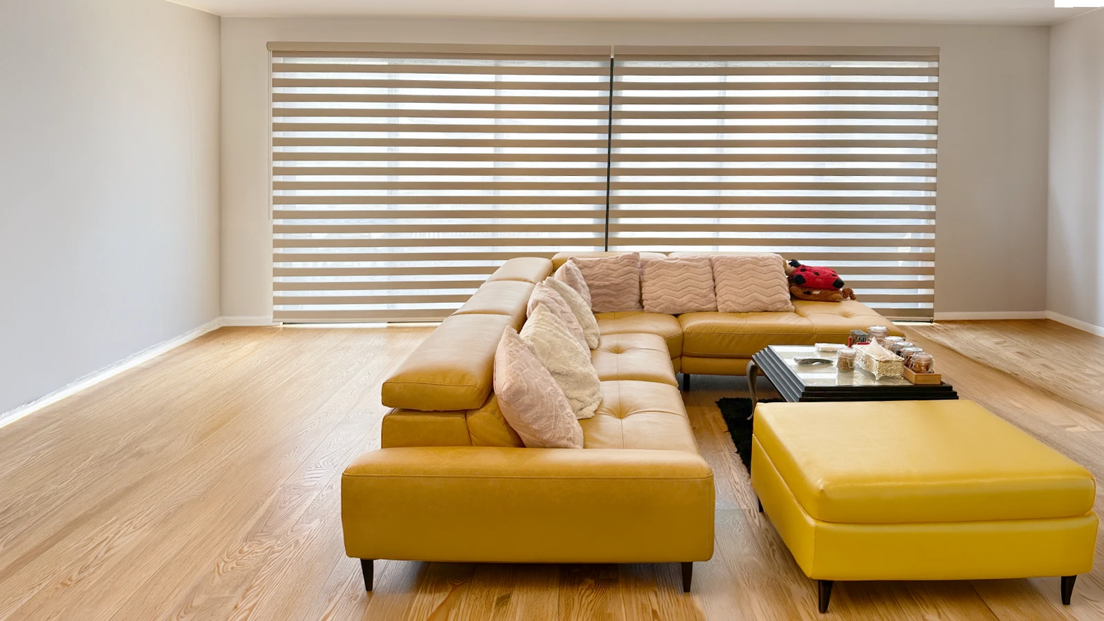 venetian blinds