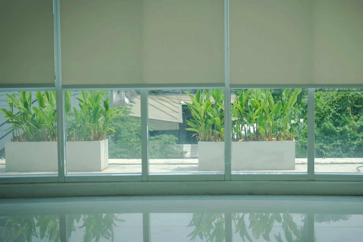 Modern interior window featuring clean-lined roller blinds with fabric light control.